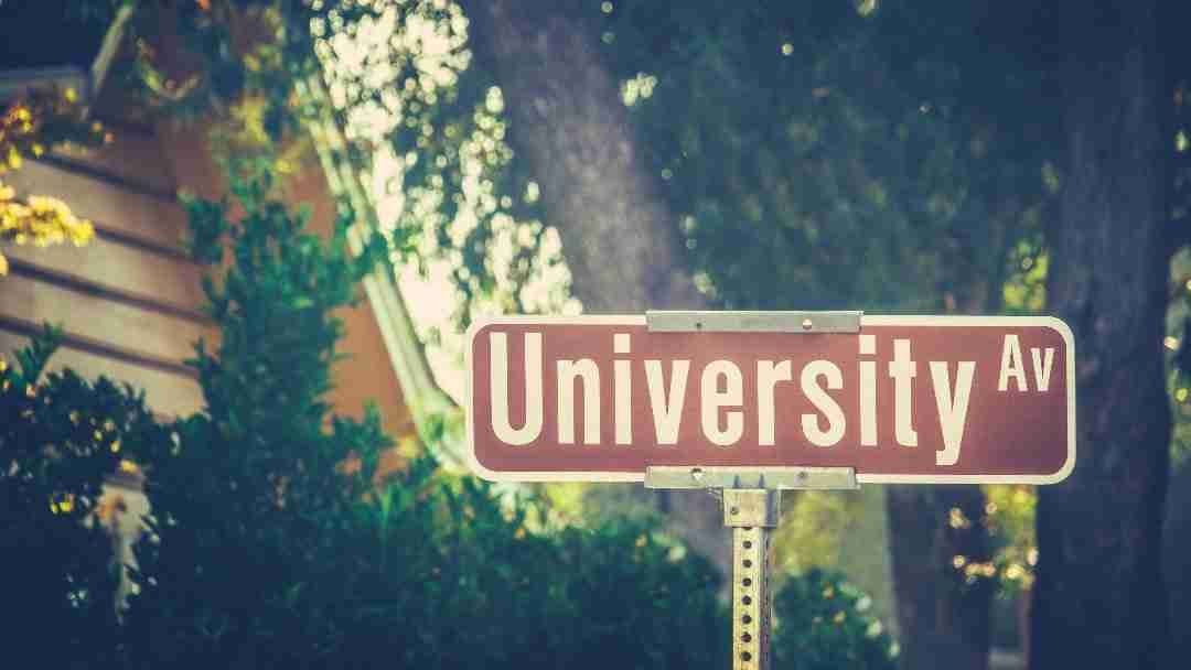 As 7 dicas de Harvard para um empreendedor de sucesso